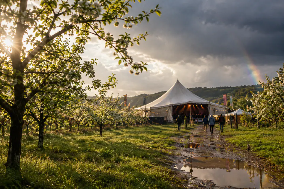 Un petit chapiteau de festival dans un verger en fleurs, après une averse, avec de l’herbe mouillée et un arc-en-ciel.